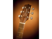 Takamine GD30CE-N Takamine GD30CE-N